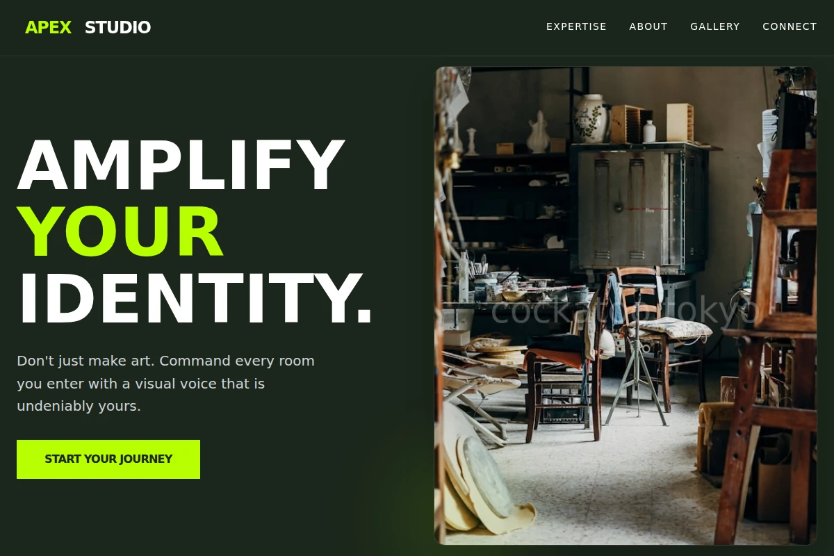 Apex Art Studio