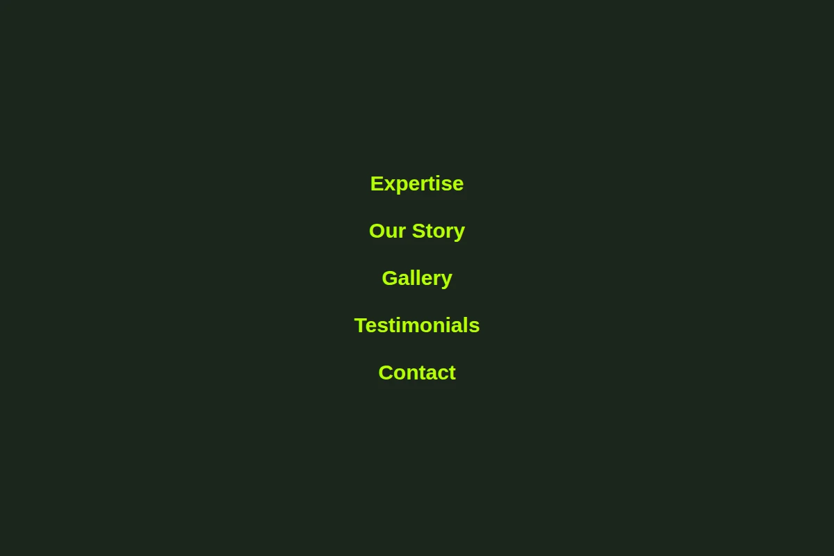 Vivid Creative Direction