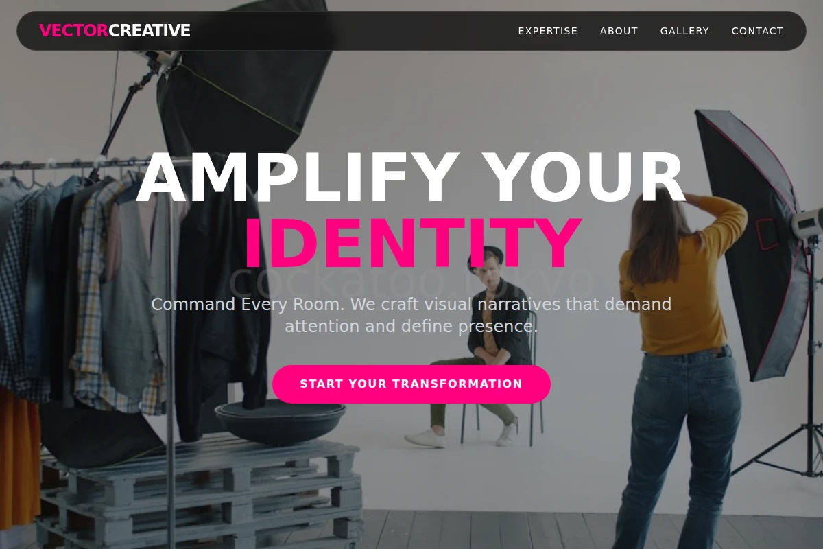 Vector Creative Direction