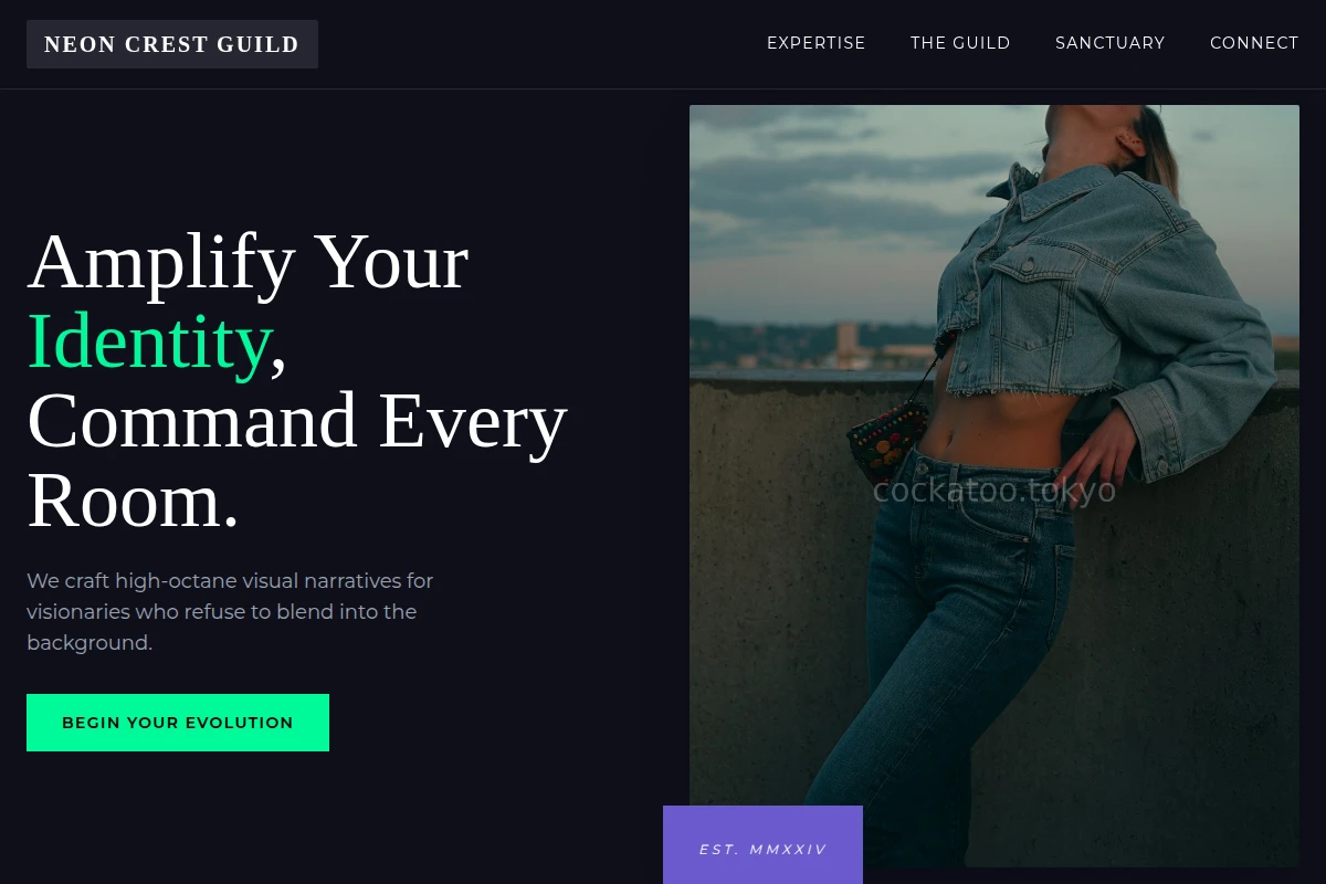 Vector Creative Direction